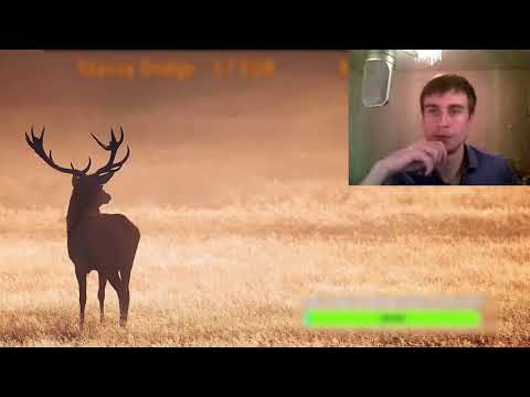 Видео: БЫВШАЯ хочет,чтобы бегал и ПРОВОЦИРУЕТ ЦВЕТАМИ