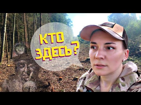 Видео: ДОКОПАЛАСЬ до ШАХТЁРА! Неожиданная находка в лесу на месте старого посёлка.