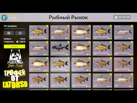 Видео: Русская рыбалка 4.🎣🦈 р. Ахтуба 🐋🐳🐋...💦 ТРОФЕЙ от LATORSO 👀