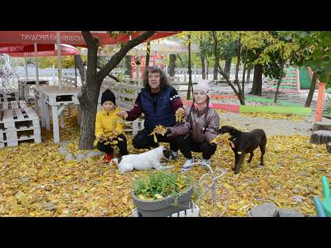 Видео: Владимир ЛЕВЧЕНКО - Осень-2021