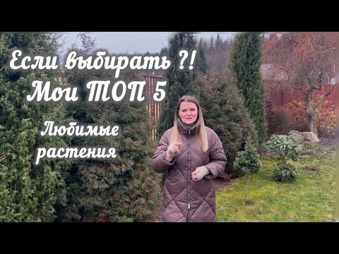 Видео: Пять растений, которые посадила бы в первую очередь