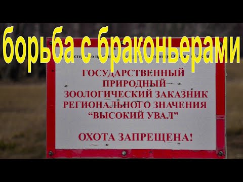 Видео: Варварское средство борьбы с браконьерами-чалдона  в  Сибири