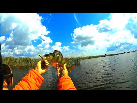 Видео: Рыбалка . Озеро Песчаное -  Работа приманок на простейшем озерце.Это вам не Волга с Егерями
