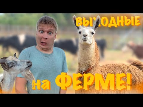 Видео: Малой и Выходные на Ферме!