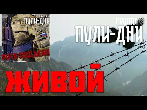 Видео: Группа Пули Дни   Живой