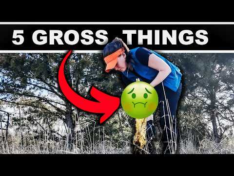 Видео: 🤢 5 НЕДОСТАТКОВ В ОВЦЕВОДСТВЕ (с решениями) Советы для начинающих фермеров Выращивание овец на мя...