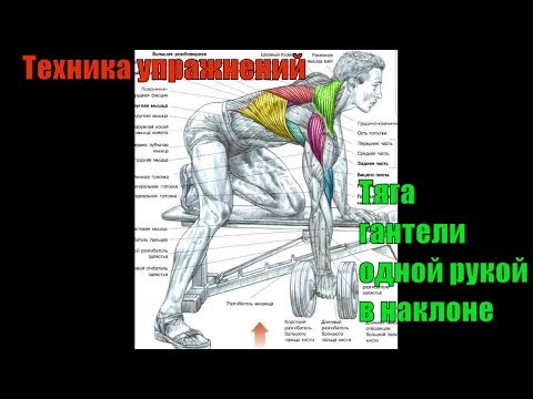 Видео: Как накачать спину и заднюю дельту. Тяга гантели одной рукой в наклоне