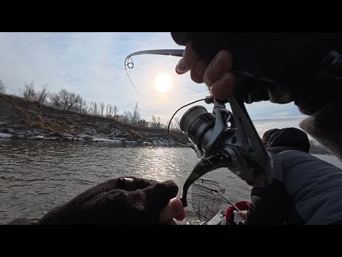 Видео: Рыбалка поздней осенью на спиннинг с лодки по хищной рыбе. #рыбалка #72 #спиннинг #джиг #осень #2025