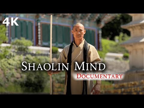 Видео: Shaolin Mind (Docu) - Возвращение к истокам 🇩🇪🇨🇳🇺🇸🇫🇷🇪🇸🇮🇹🇵🇹🇷🇺