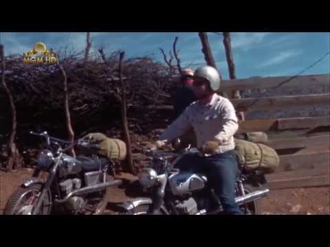 Видео: На юг верхом на мотоциклах / Cycles South / 3 Wild Riders