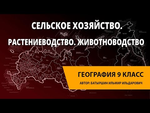 Видео: Сельское хозяйство. Растениеводство. Животноводство.