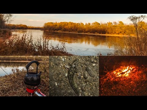 Видео: Рыбалка на налима на реке Бира. Устье реки Щукинка-1. Осень 2022 г.