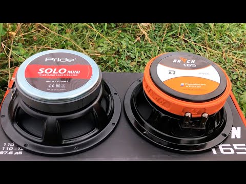 Видео: Обзор DL Audio Raven 165 и сравнение с Pride Solo mini