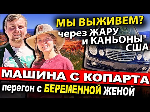 Видео: РИСКУЮ БЕРЕМЕННОЙ ЖЕНОЙ | НА МАШИНЕ С КОПАРТА ЧЕРЕЗ ВСЮ АМЕРИКУ | Добрались до каньона БРАЙС