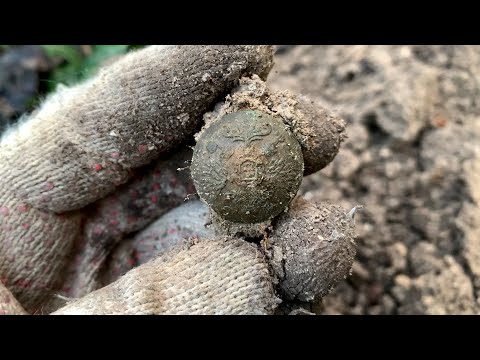 Видео: ЗОЛОТОЙ ЛЕС С НАХОДКАМИ НЕ ОТПУСКАЕТ НАС КОП 2025