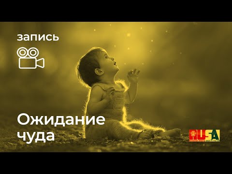 Видео: Ожидание чуда...