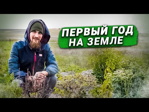 Видео: Что можно сделать в первый год в родовом поместье?
