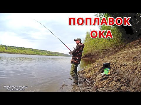 Видео: ПОПЛАВОК на ОКЕ это много поклёвок! Рыбалка в середине мая.