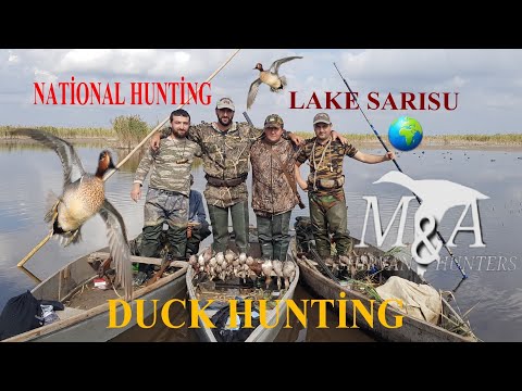Видео: Sarısu ördək ovu.Payız ovları.Охота на уток озеро сарысу...Caza de patos..Chasse au canard