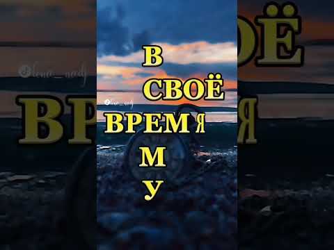 Видео: Бабушка на лавочке сказала