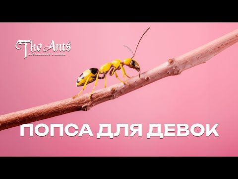 Видео: Попса для ДЕВ0К: правдивый обзор на Изящного Веточного Муравья