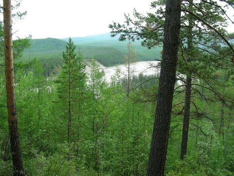 Видео: Бизнес компаний-юниоров в геологоразведке (на примере проектов по разведке и добыче меди)
