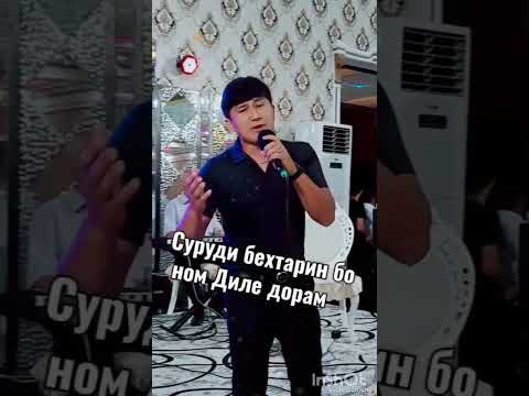 Видео: Fariduni Orifzod Фаридуни Орифзод суруди диле дорам