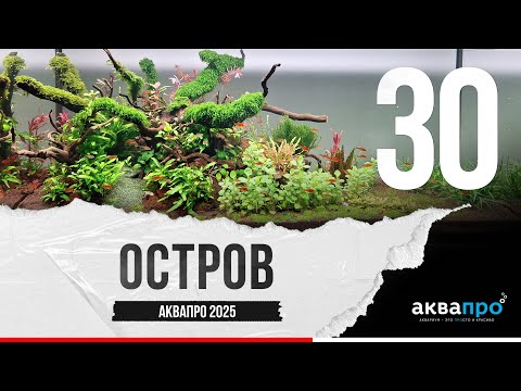 Видео: 30. Остров #АкваПро