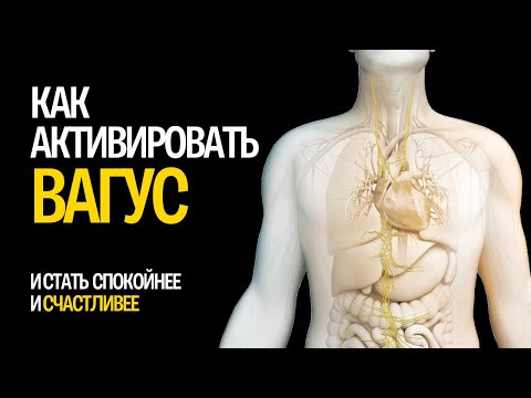 Видео: Как активировать блуждающий нерв? Стимуляция вагуса. Тонус блуждающего нерва