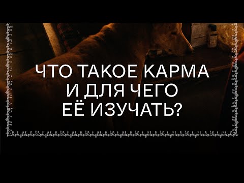 Видео: Что такое карма и для чего её изучать? | 3 Эфир  Курс «Как работает карма?»