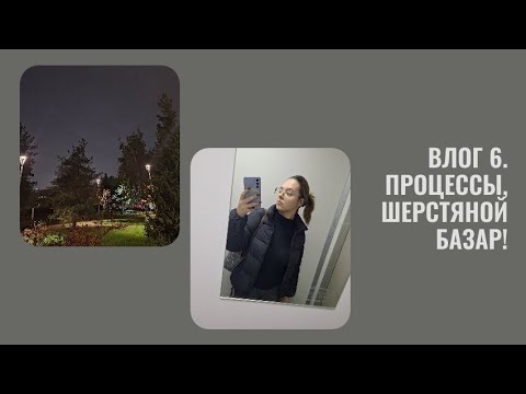 Видео: Влог 6. Процессы, Шерстяной базар