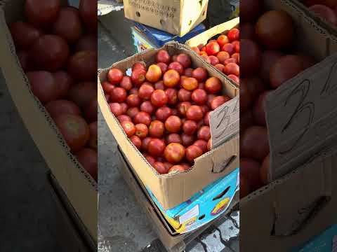 Видео: Шувар овочі огляд цін на ринку 01.11.25