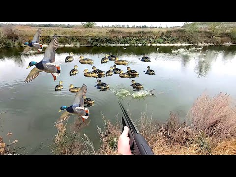 Видео: ПОДКРАЛСЯ К ОГРОМНОЙ СТАЕ УТОК!!! ЛУЧШИЕ НАЛЕТЫ И ТОП ВЫСТРЕЛЫ  ОХОТЫ НА УТКУ НА КОРМОВОМ ПОЛЕ!!!