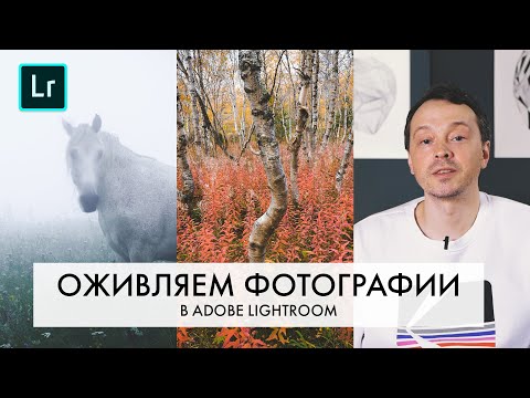 Видео: Как вдохнуть ЖИЗНЬ в фотографию при помощи ОБРАБОТКИ? | Обработка фото в LIGHTROOM | Пленочный цвет