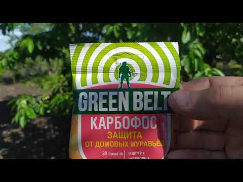 Видео: Борьба с тлей и садовыми муравьями по методу А.Лукьянова