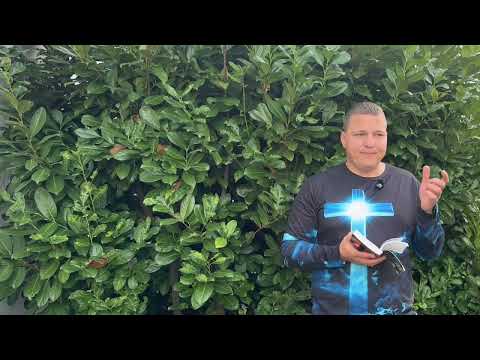 Видео: Хочу щоб ви вірили /1185/ Марія говорить практичні речі 