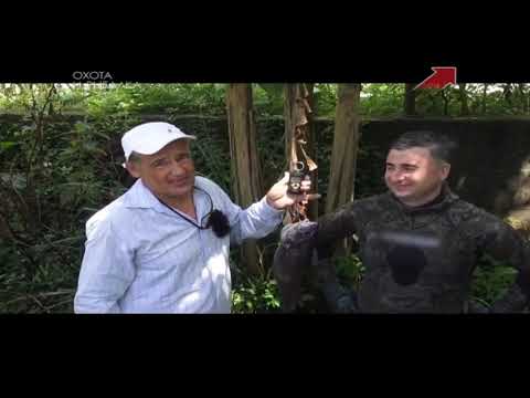Видео: Охота и рибалка, подводная охота в Грузии, часть 1