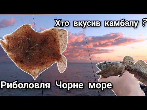 Видео: Ловля риби з берега Чорне море.Бички та камбала на донку.