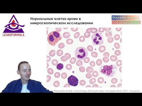 Видео: Ключевые 30 снимков крови и костного мозга. Практикум по гематологической морфологии.