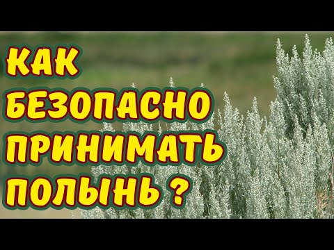 Видео: ПОЛЫНЬ. ПОЛЫНЬ ГОРЬКАЯ. СЕКРЕТЫ ПРИМЕНЕНИЯ ПОЛЫНИ. КАК БЕЗОПАСНО ПРИНИМАТЬ ПОЛЫНЬ?