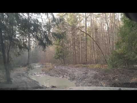 Видео: SsangYong kyron едет по бездорожью как как ездить надо будет