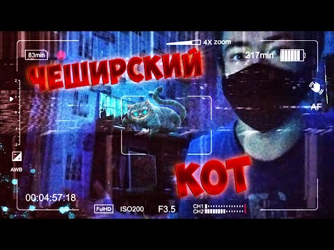 Видео: ВЫЗОВ ДУХОВ - ЧЕШИРСКИЙ КОТ / ОН В МОЕЙ КОМНАТЕ?...
