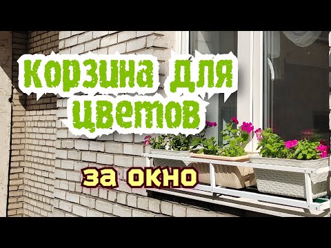 Видео: Корзина для цветов. Цветы за окном.