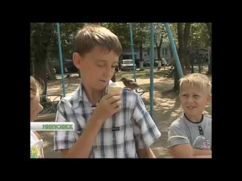 Видео: Hi-Fi ты прости (минусовка песни )mp4