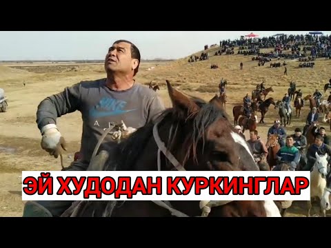 Видео: Купкари уз.Узбекистонда энг катта купкари. Жанжалга сабаб булган купкори. Мардлар майдонда билинади.
