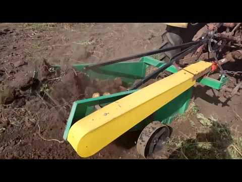 Видео: Картофелекопалка КТН-1.60 для трактора Т-25