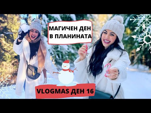 Видео: МАГИЧЕН ДЕН В ПЛАНИНАТА ❆ VLOGMAS ДЕН 16