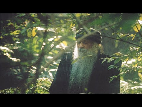 Видео: ОШО  Тайна тайн  Глава 8   Настоящее   это навсегда