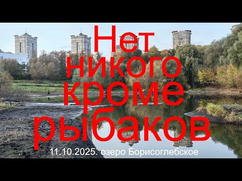 Видео: Нет никого кроме рыбаков 11.10.2025. Оз. Борисоглебское. Рыбалка в Подмосковье.