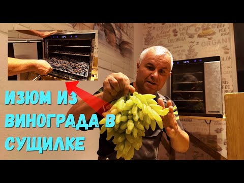 Видео: Продолжаем изготавливать Изюм и некоторые нюансы.
